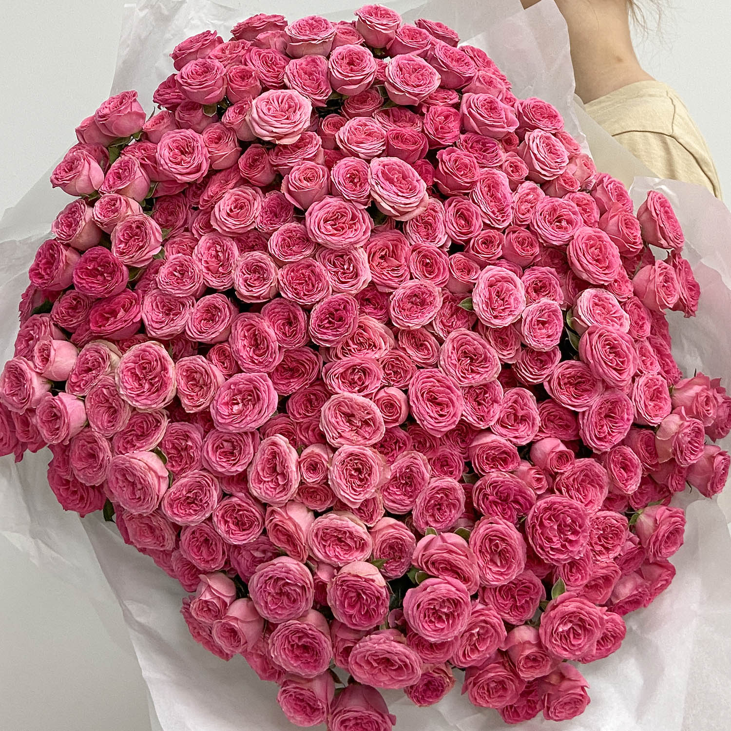 Большой букет ягодных пионовидных кустовых роз