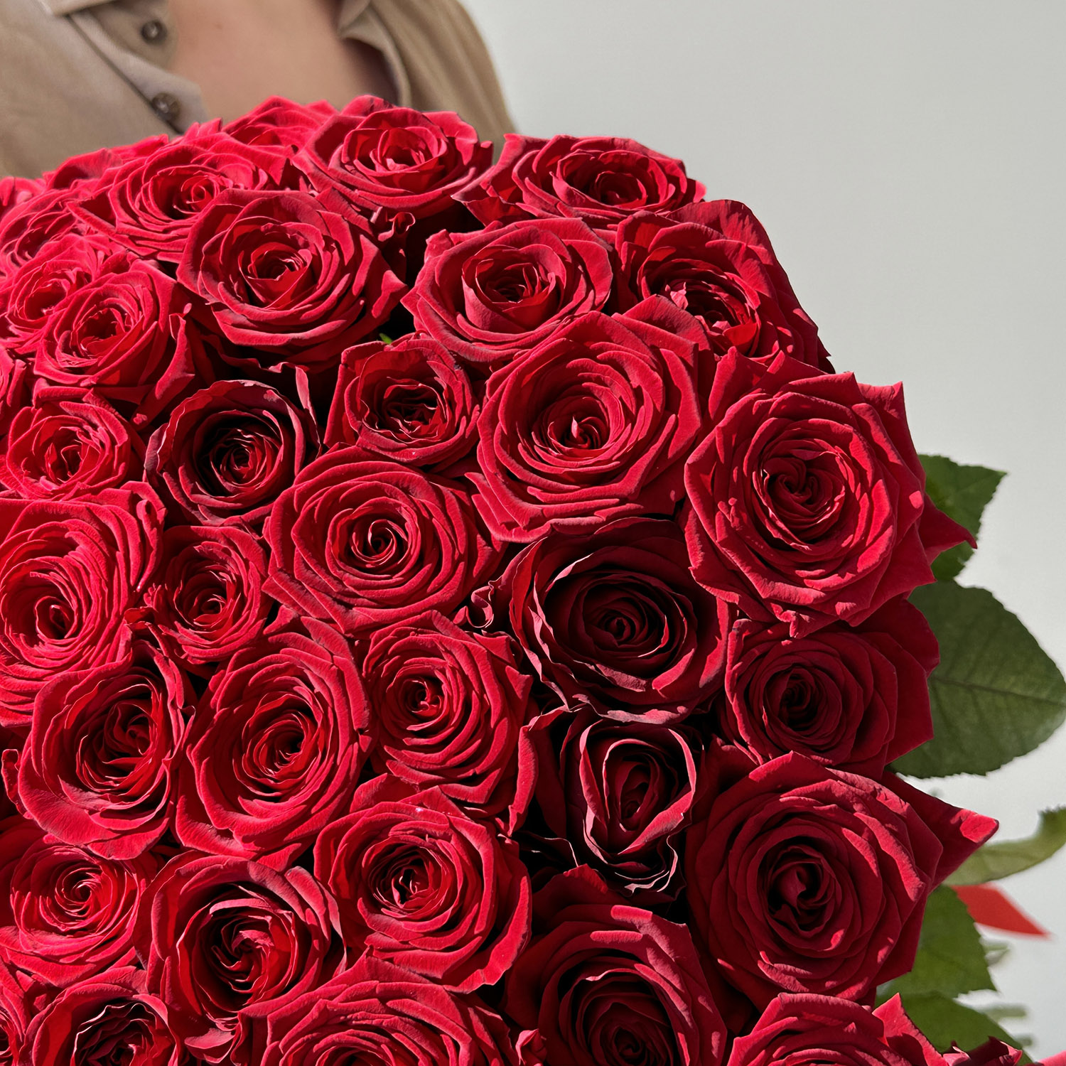 101 красная роза премиум 70 см