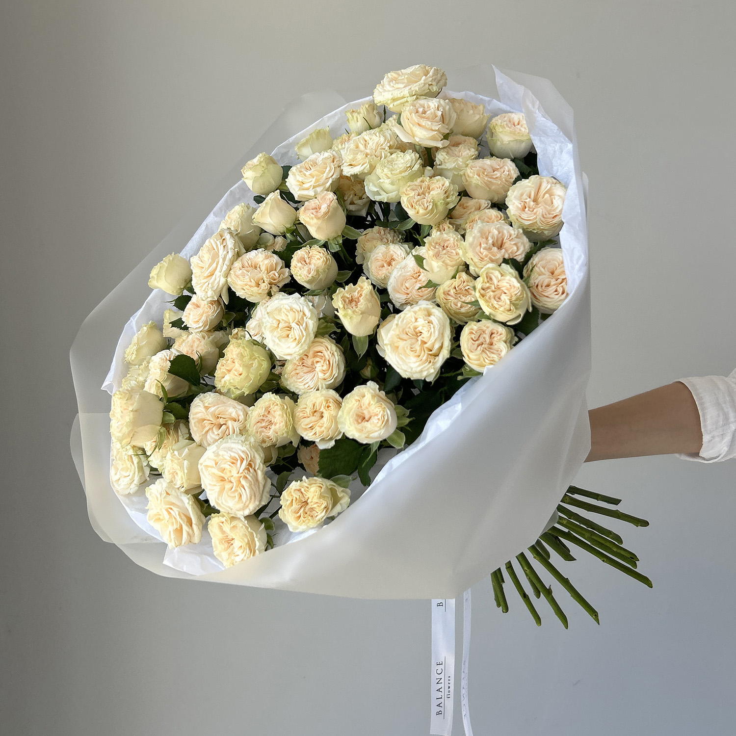 Пионовидные кустовые розы Саммер Роуз