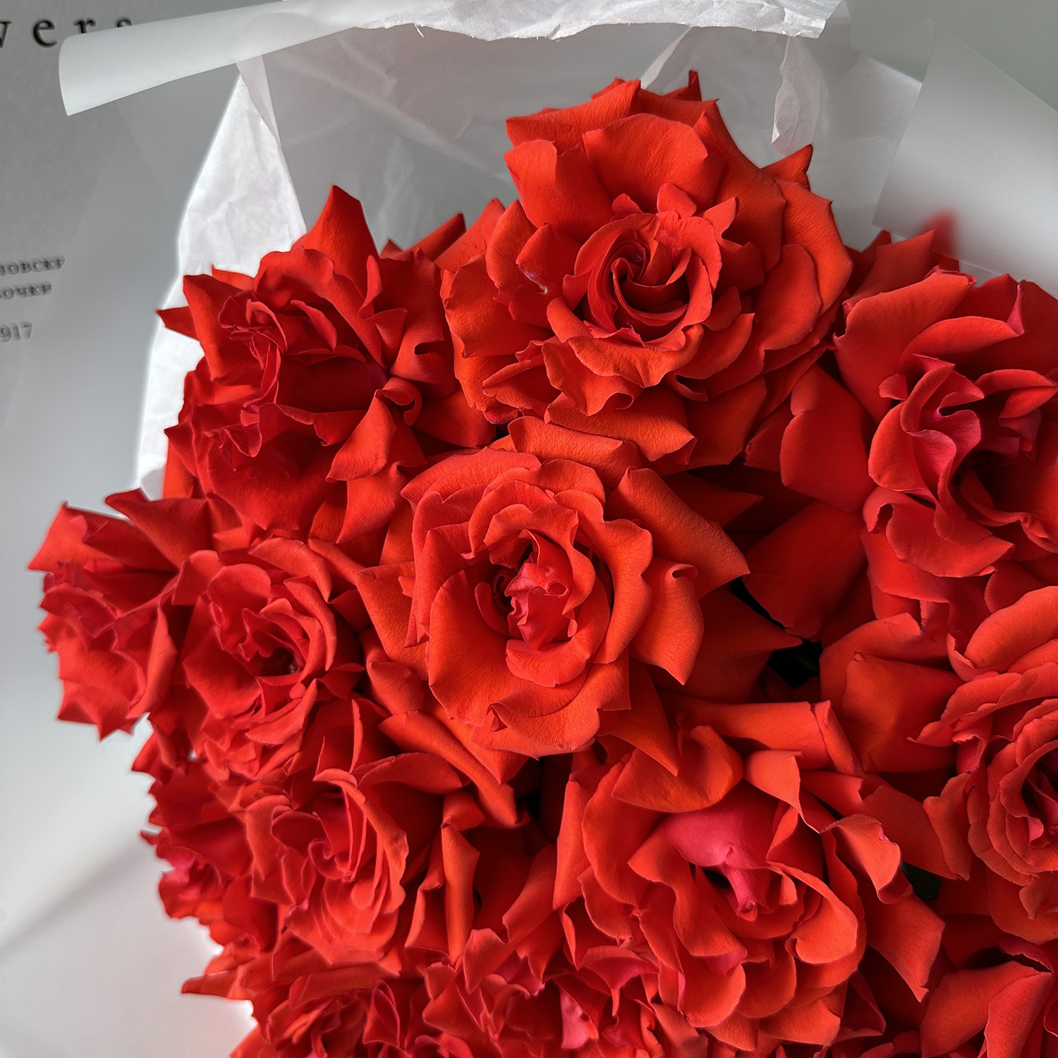 Кружевные розы Нина