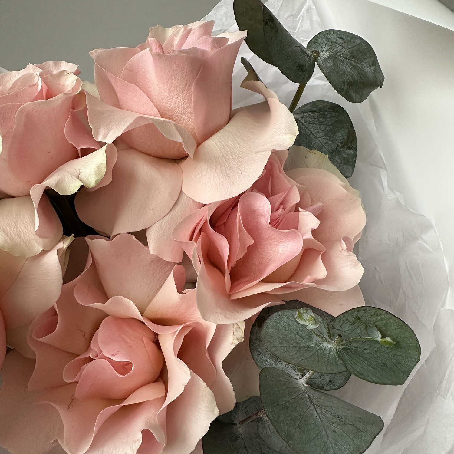 Букет 5 кружевных розовых роз