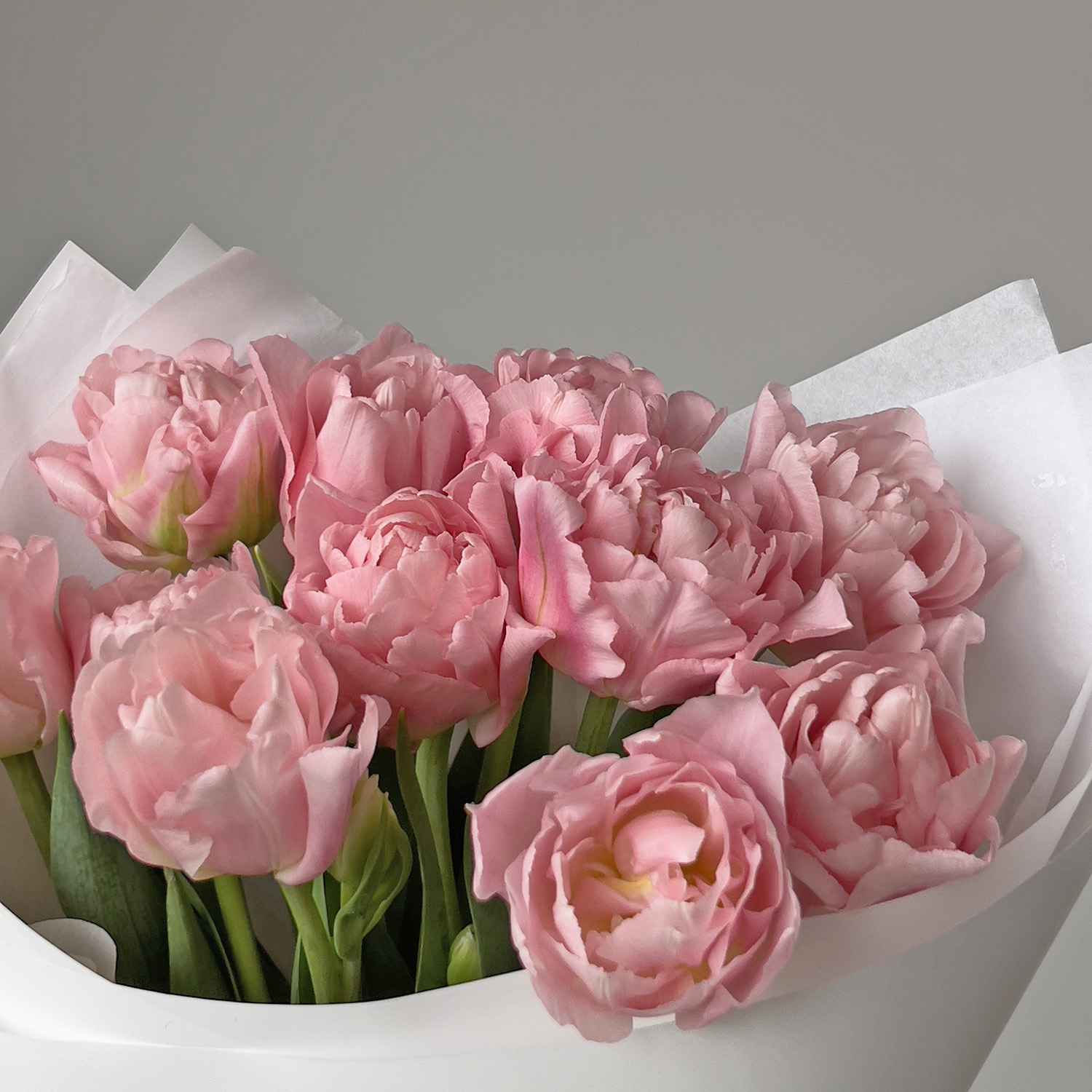 Букет нежно-розовых пионовидных тюльпанов