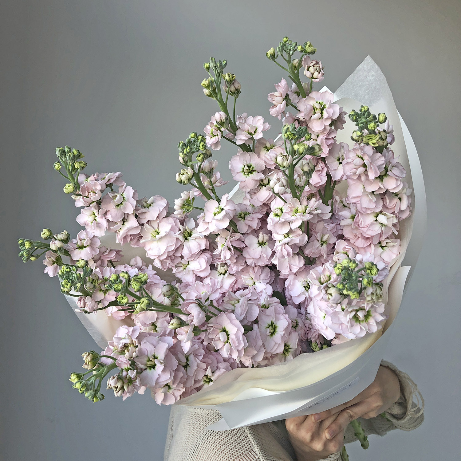 Букет розовой Маттиолы