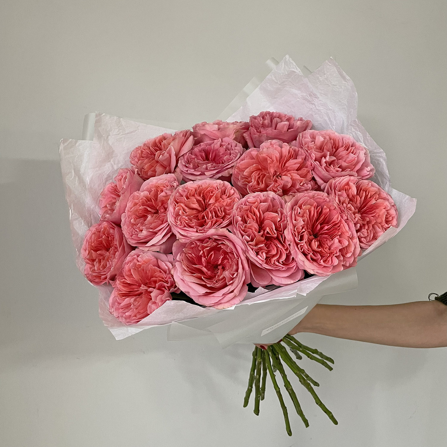 Пионовидные розы Пинк Экспрешн