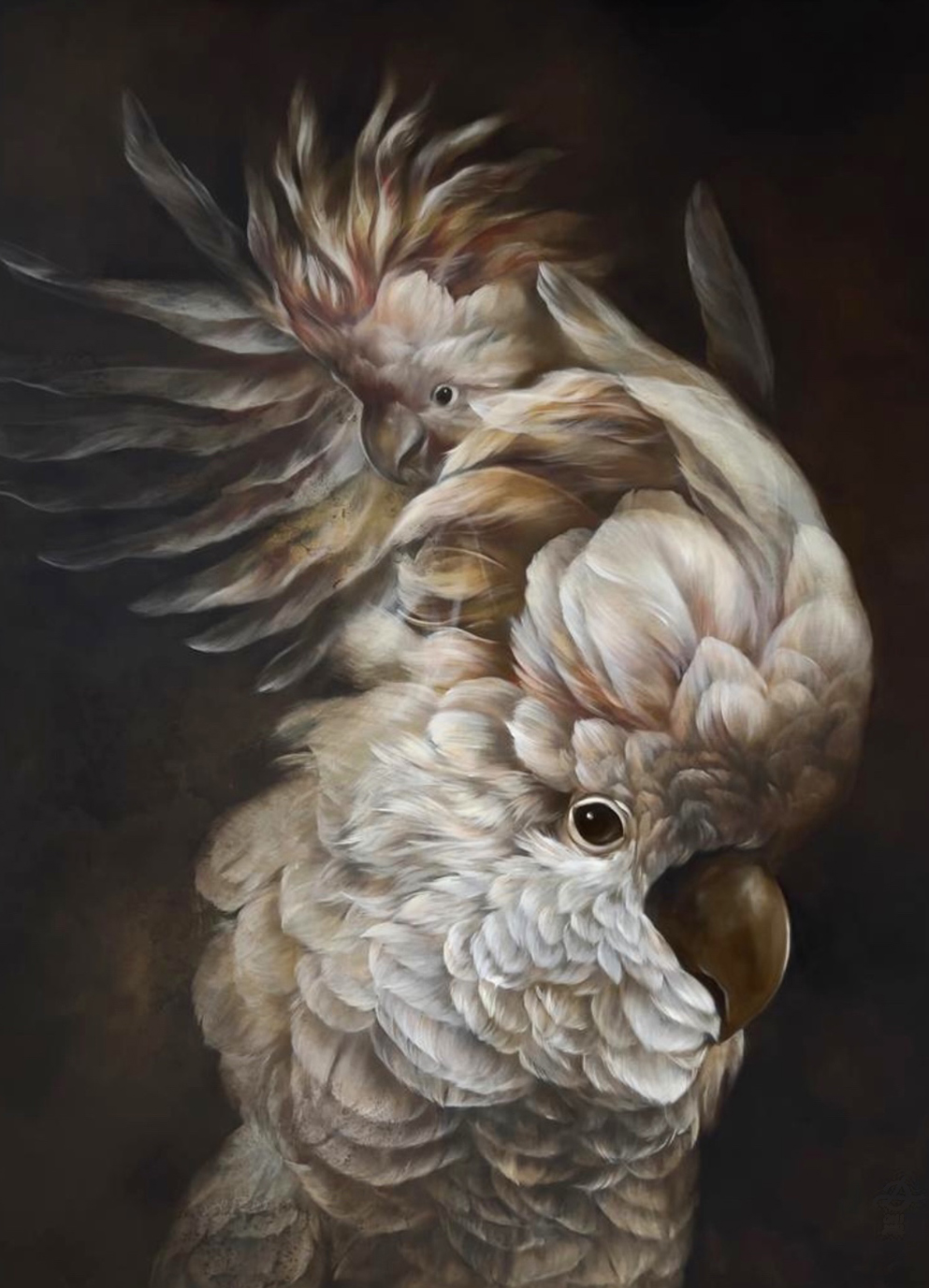 MARSHMALLOW COCKATOO