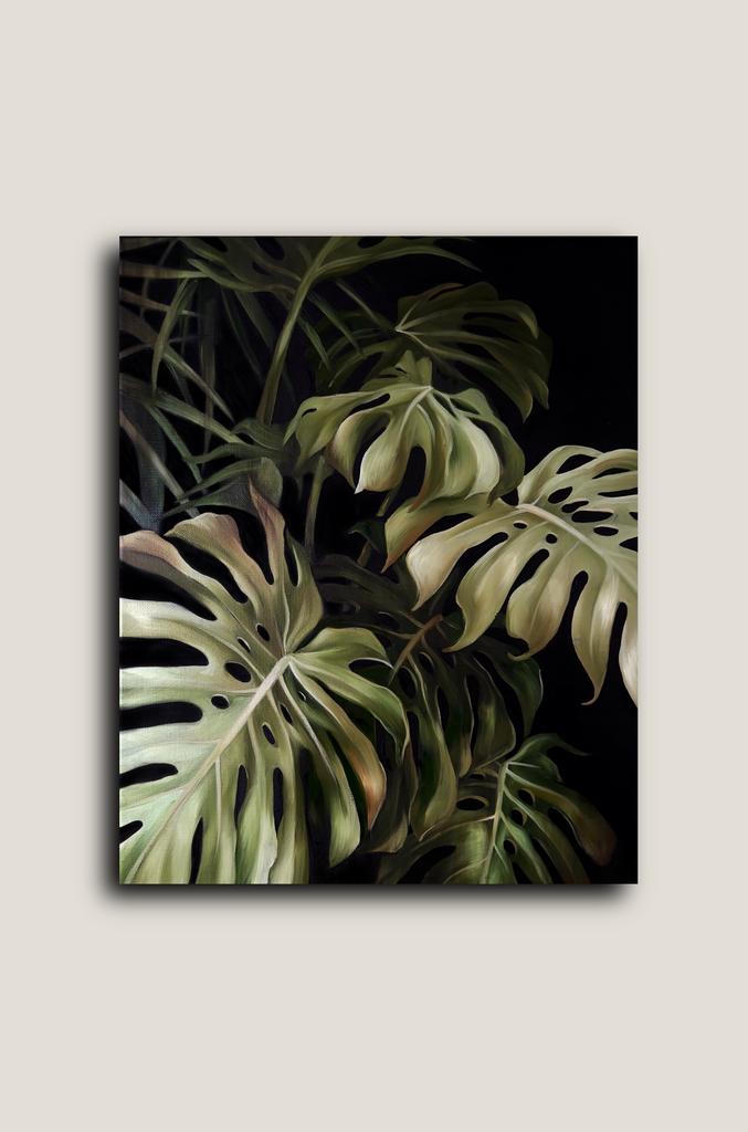 MONSTERA