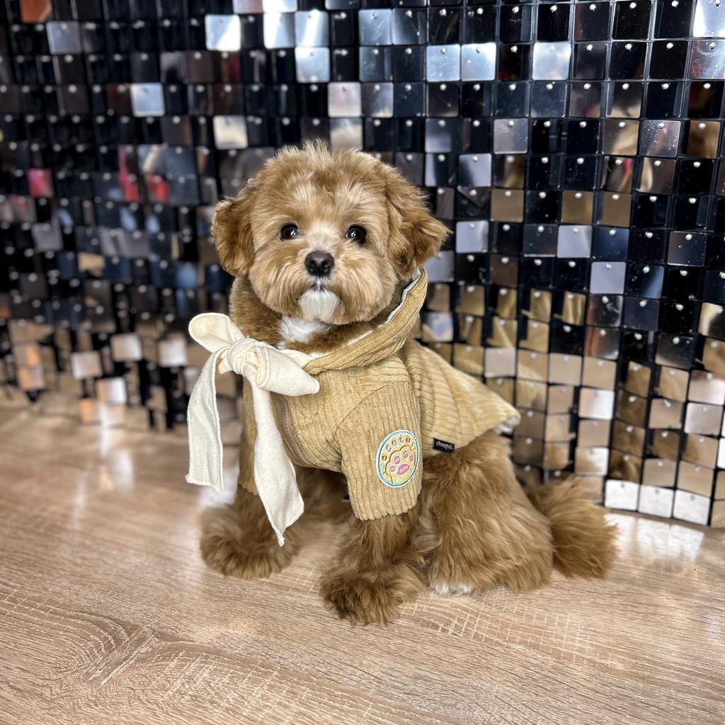 Куртка бежевая с бантом