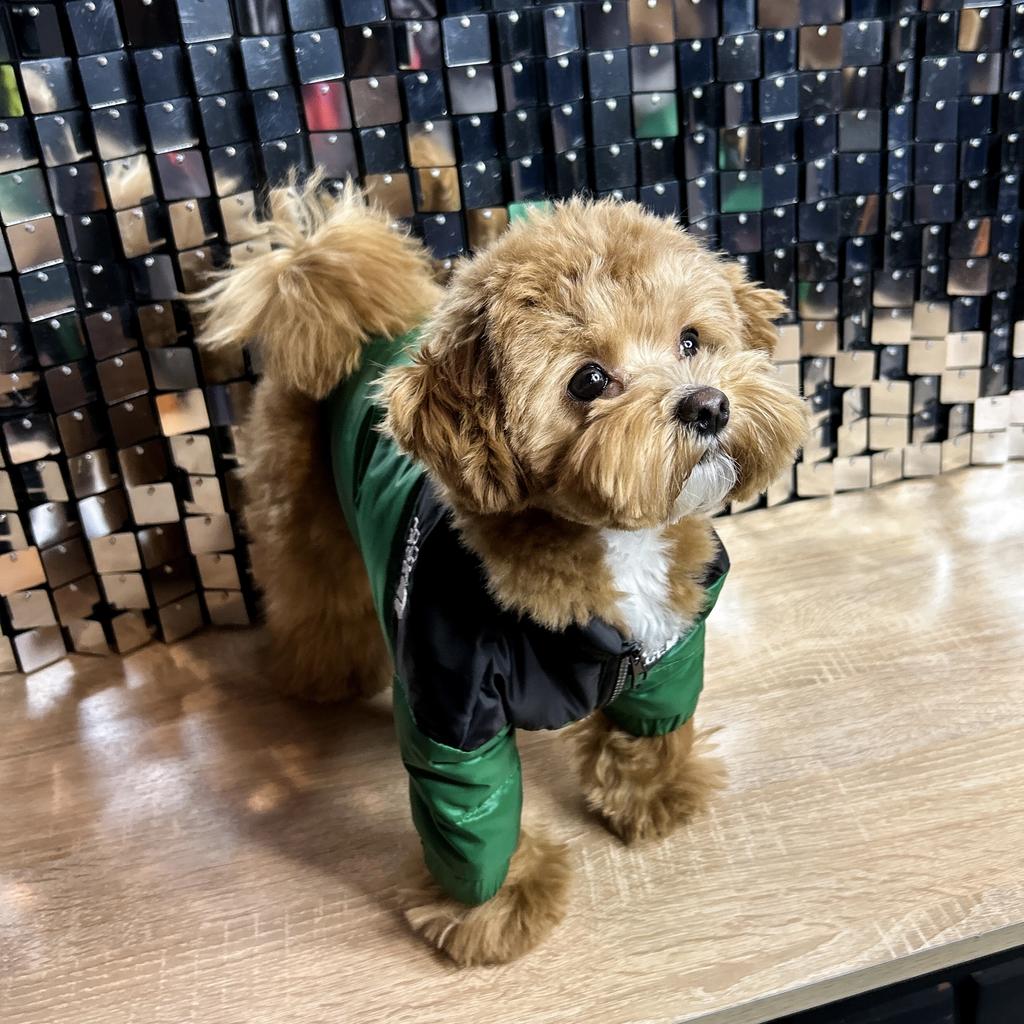 Куртка The Dog Face