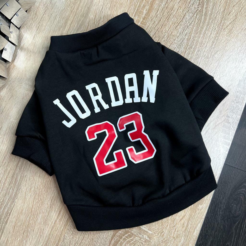 Худи JORDAN