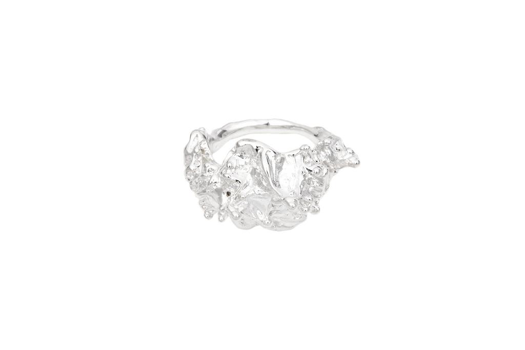 кольцо "Гедвигия"