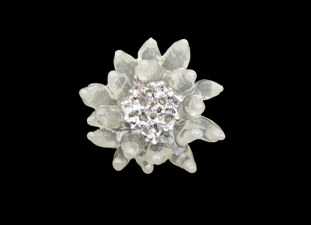 Кольцо "Витрум ферокс"