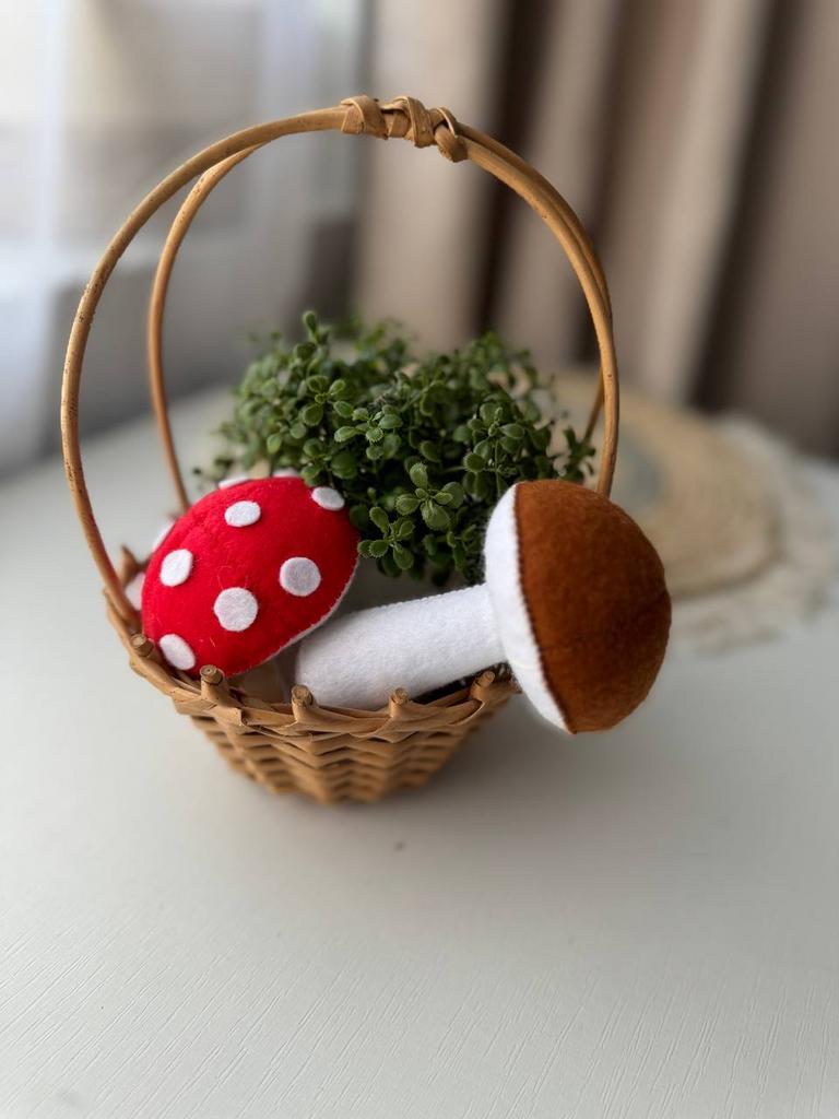 Грибок   (БЕЗ МК)