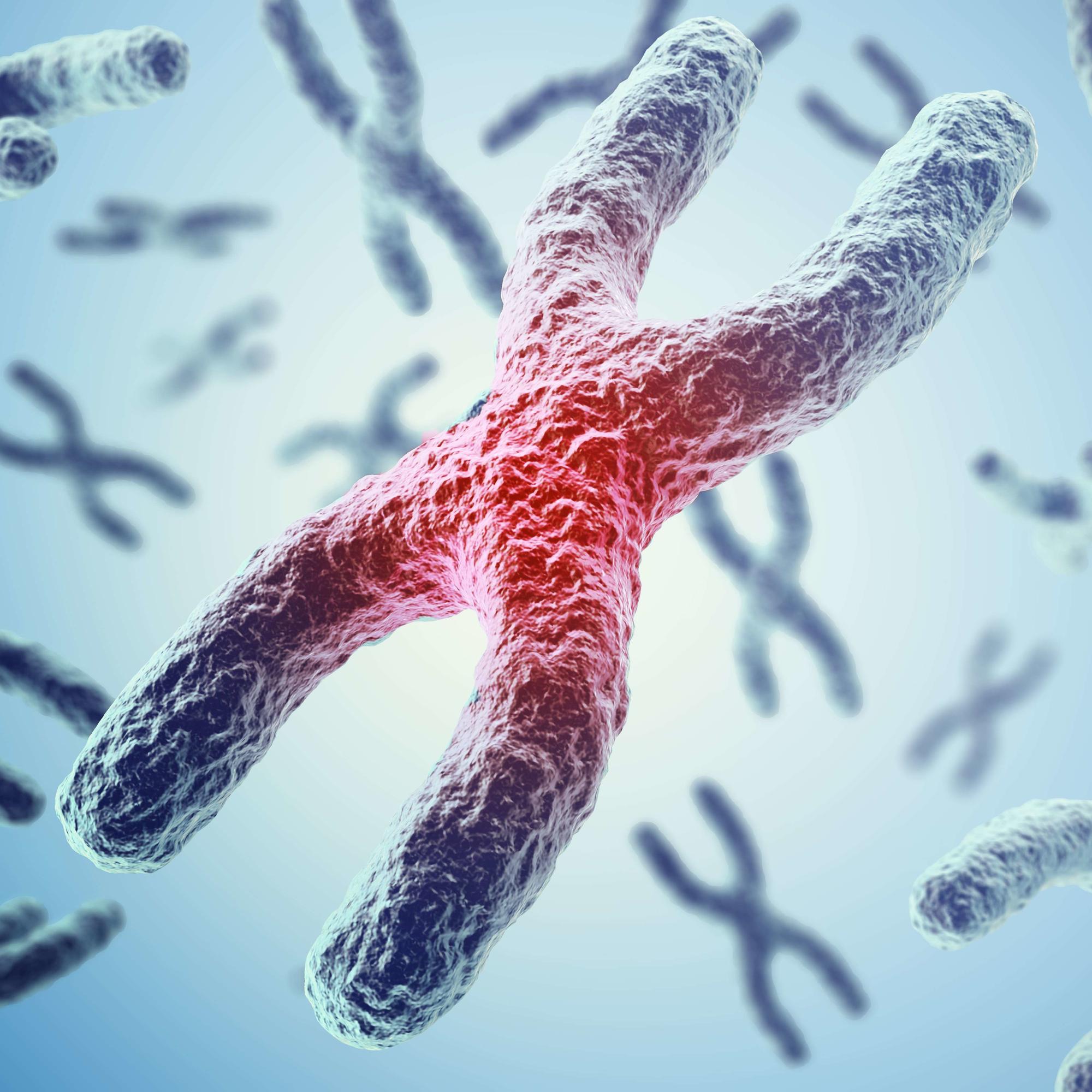 Измерение длины теломер