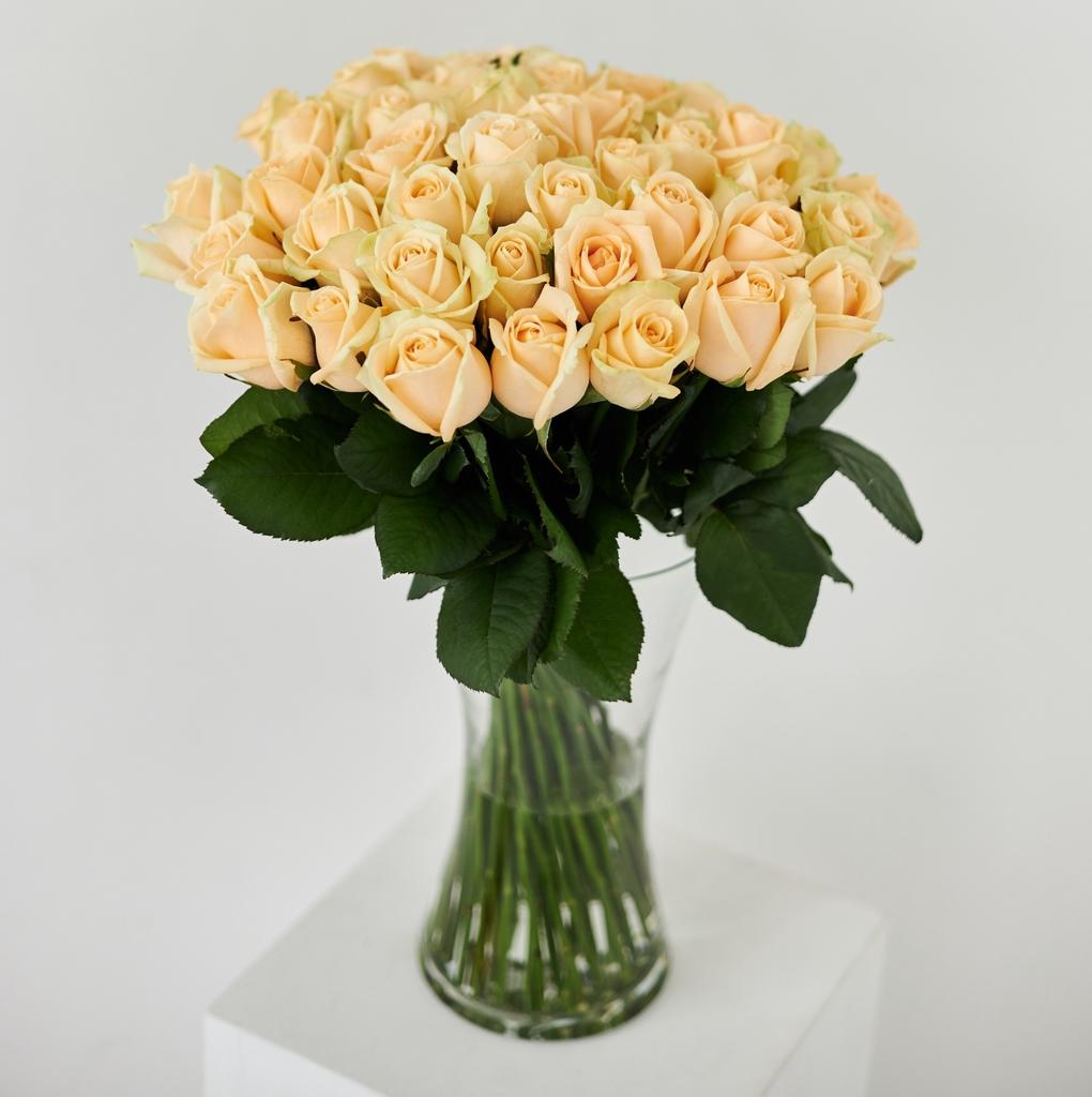 51 РОЗА ПИЧ АВАЛАНШ