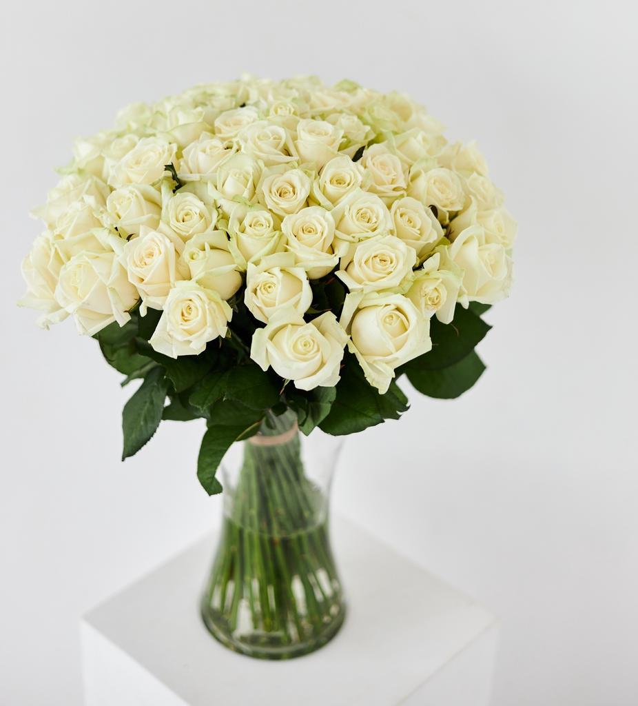 51 РОЗА АВАЛАНШ