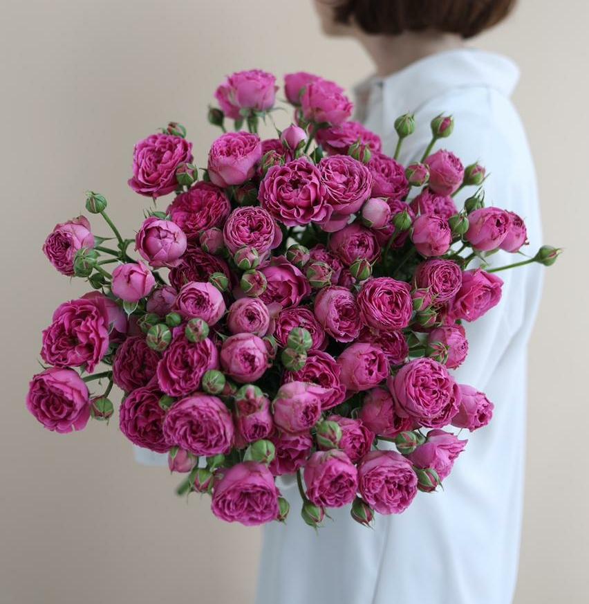 РОЗА КУСТОВАЯ "МИСТИ БАББЛС"