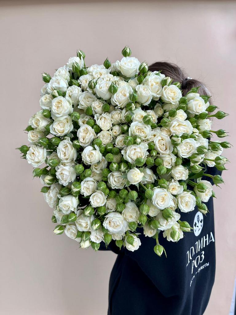 РОЗА КУСТОВАЯ "БЕЛАРУСЬ"