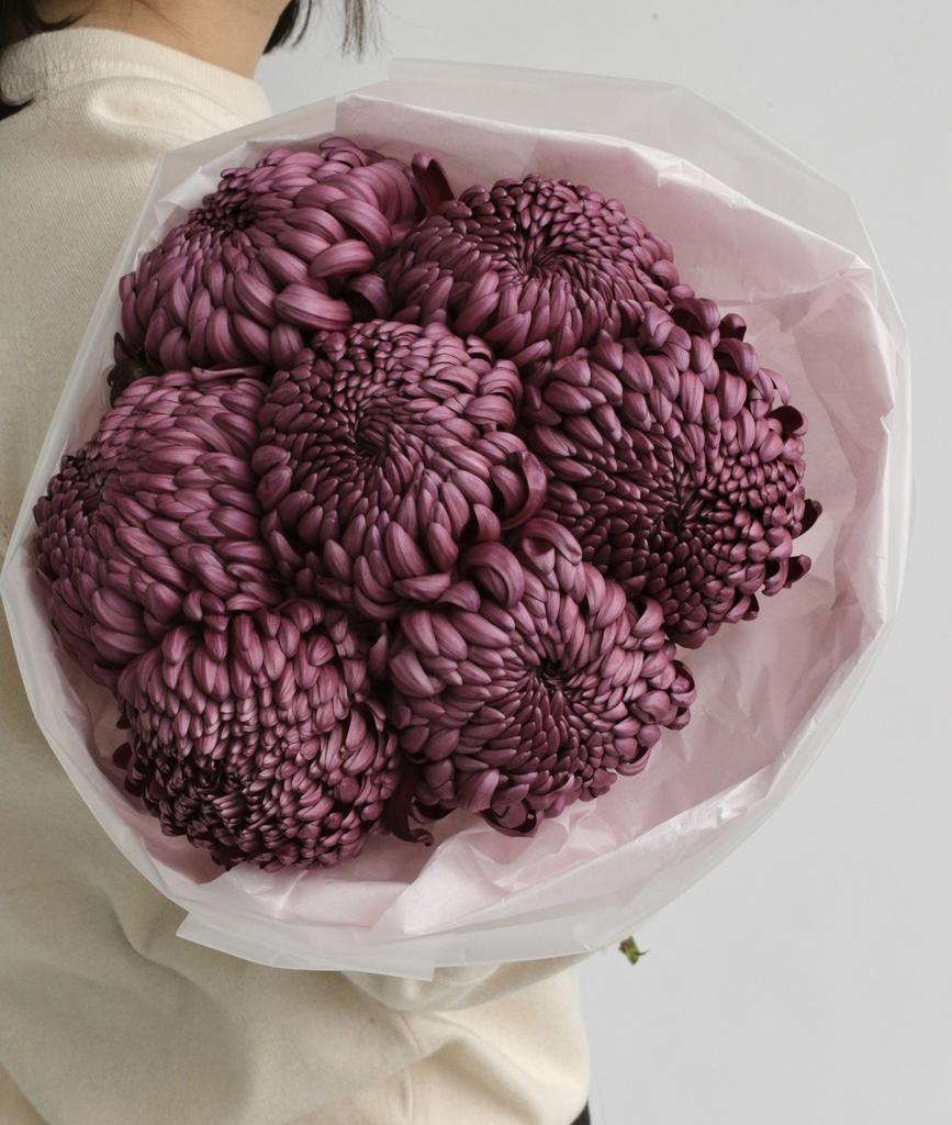 МОНО-БУКЕТ ИЗ  ХРИЗАНТЕМ БИГУДИ