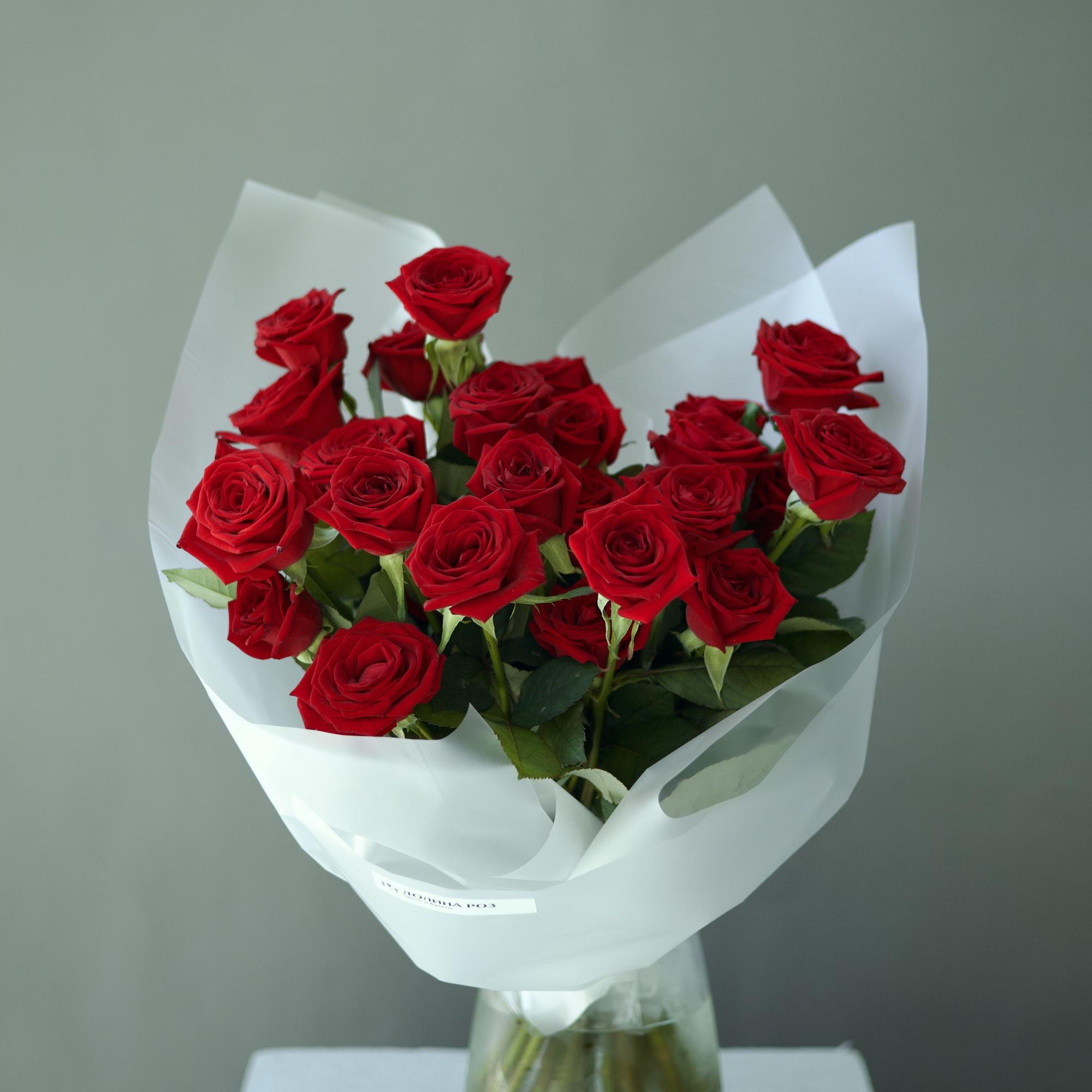 МОНО-БУКЕТ ИЗ 25 РОЗ СОРТА "РЕД НАОМИ"
