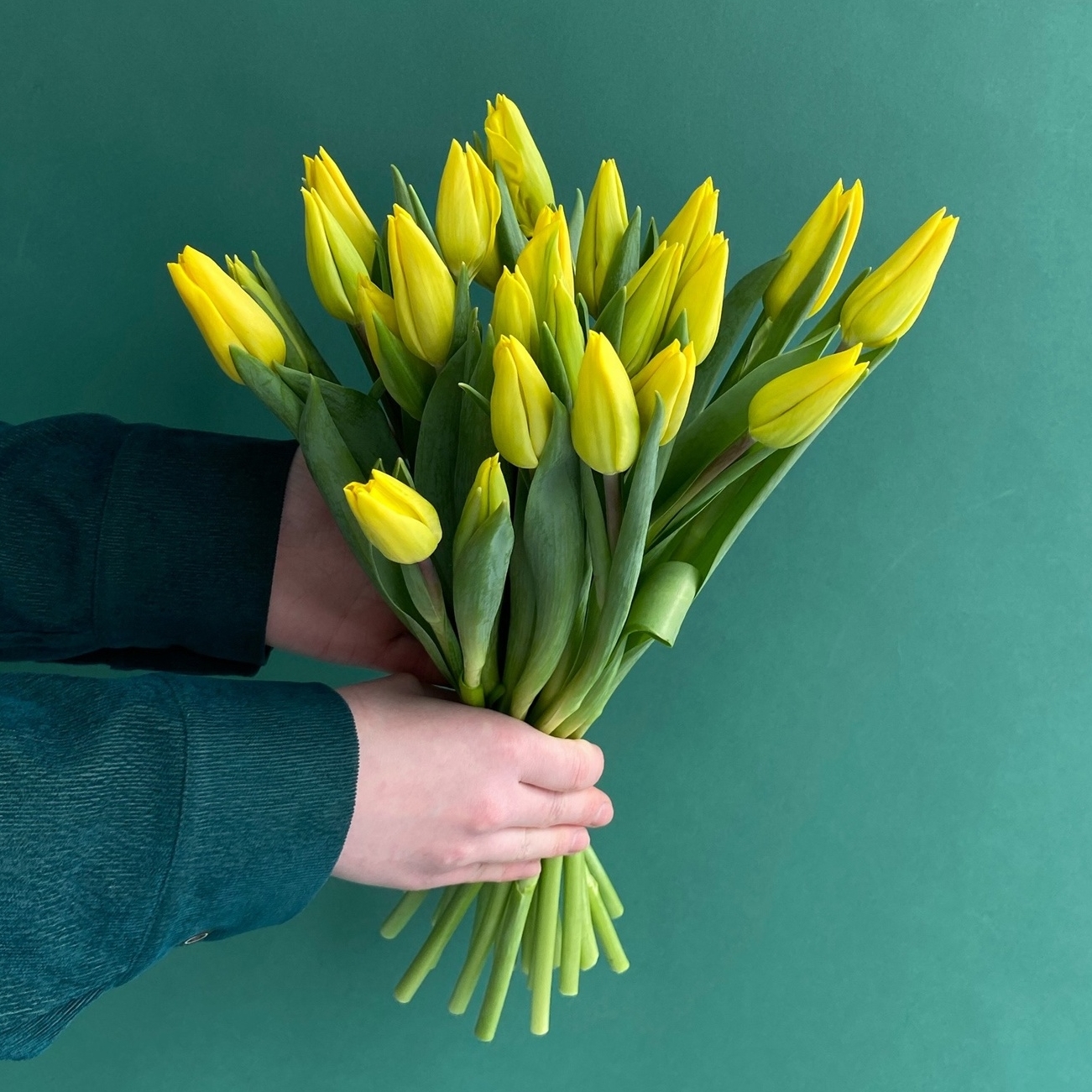 МОНО-БУКЕТ ИЗ  25 ЖЕЛТЫХ ТЮЛЬПАНОВ В ЛЕНТУ