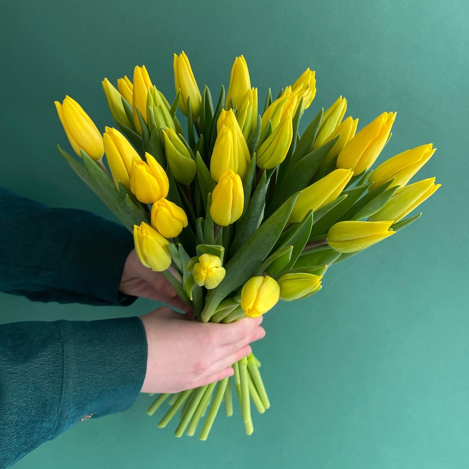 МОНО-БУКЕТ ИЗ  35 ЖЕЛТЫХ ТЮЛЬПАНОВ В ЛЕНТУ