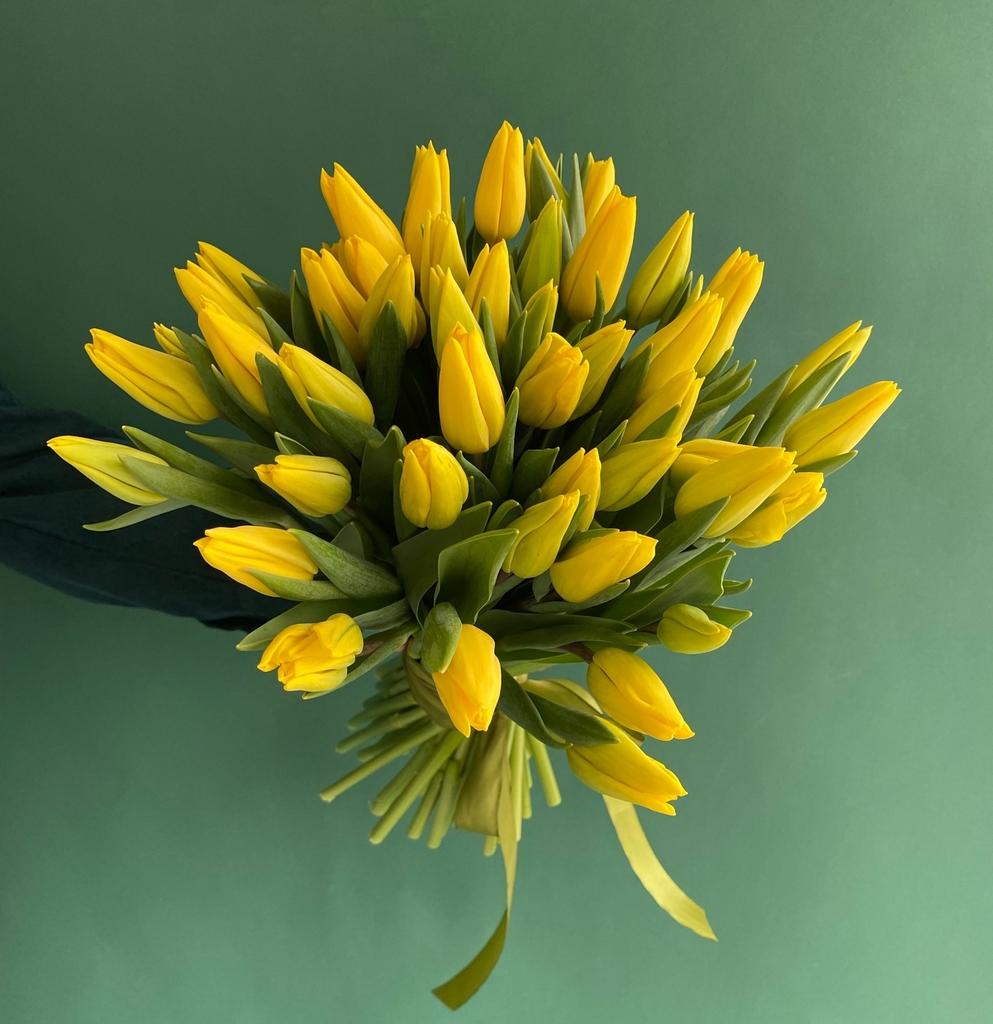 МОНО-БУКЕТ ИЗ  51  ЖЕЛТОГО ТЮЛЬПАНА В ЛЕНТУ