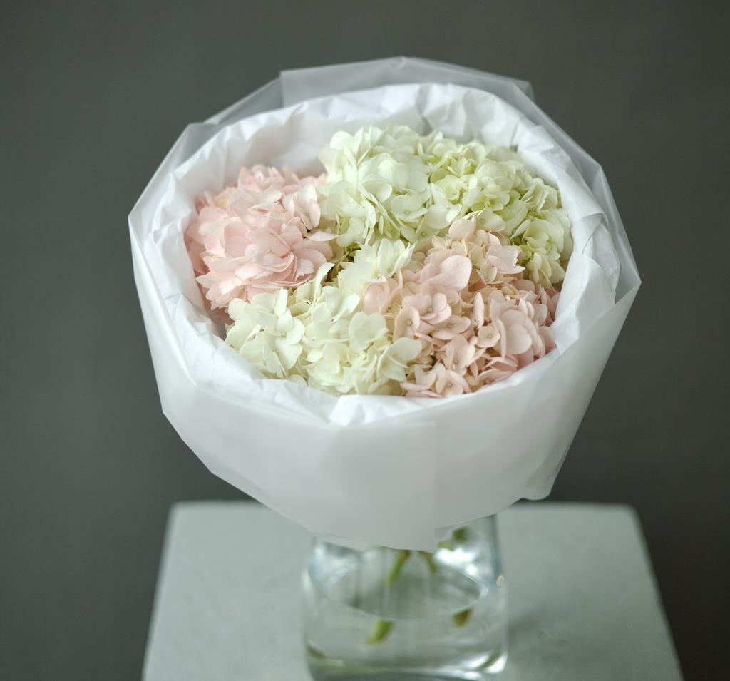 МОНО-БУКЕТ ИЗ 5  ГОРТЕНЗИЙ РОЗОВО-БЕЛЫЙ