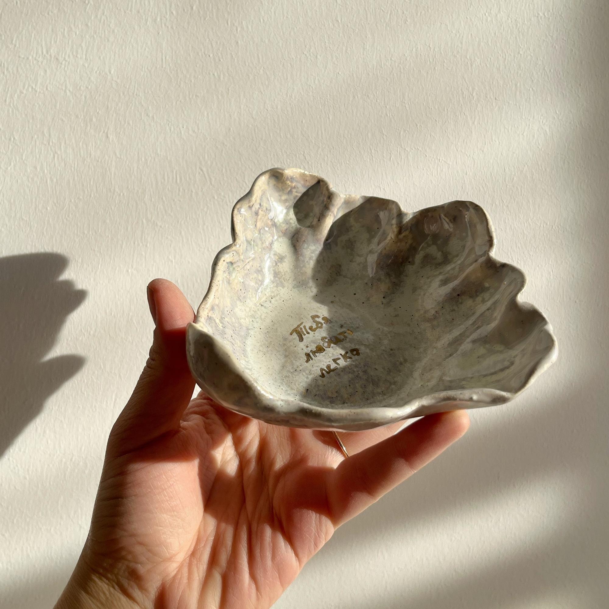 Ракушка с посланием