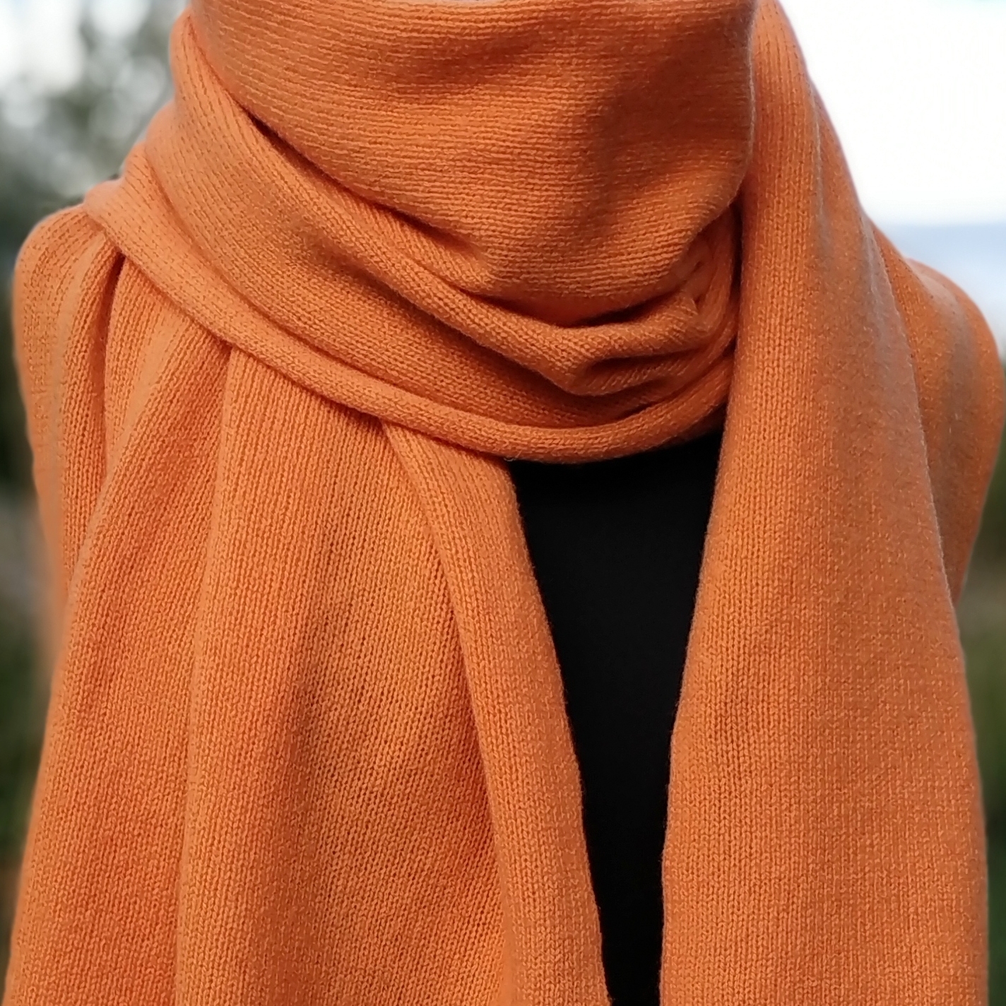 шарф, шарфы, кашемир, палантин, кашемировый