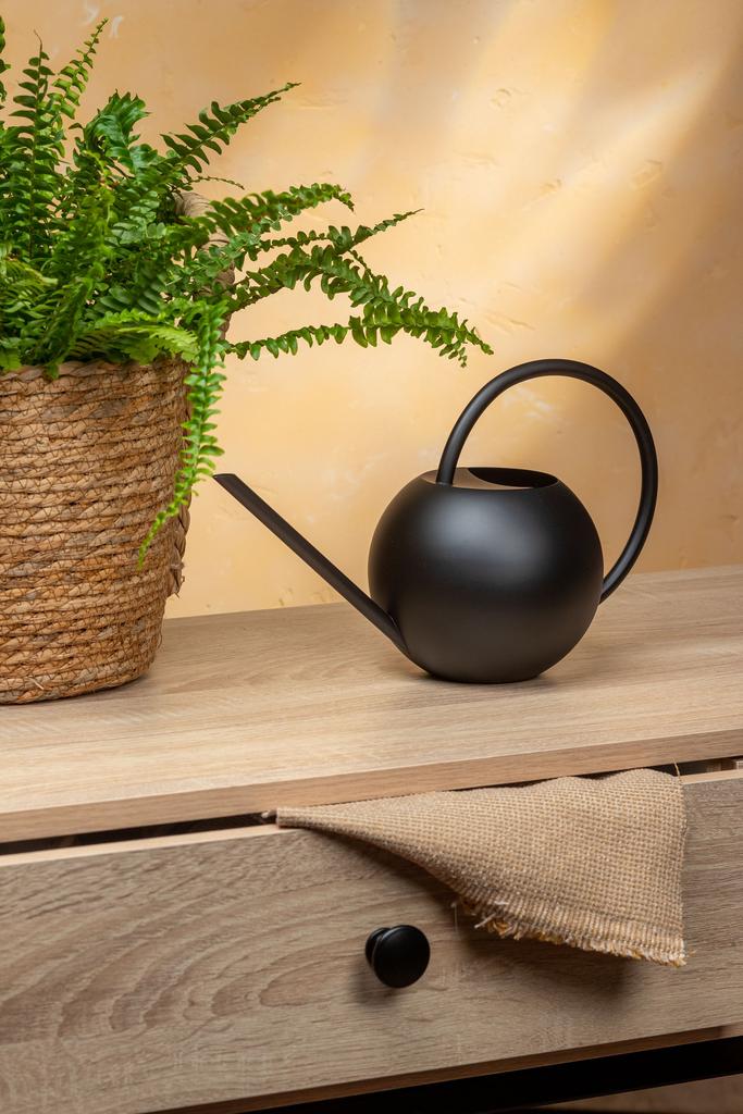 Лейка Токио