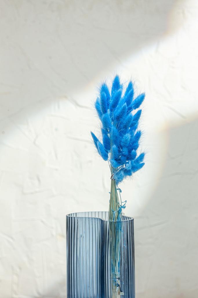 Лагурус 60 веток