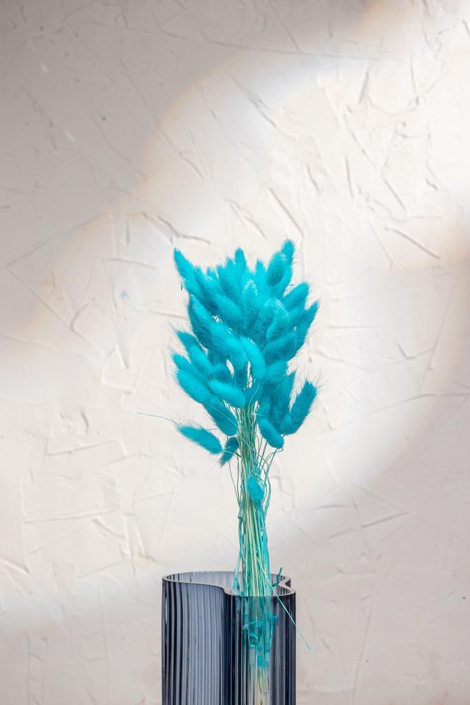 Лагурус 60 веток