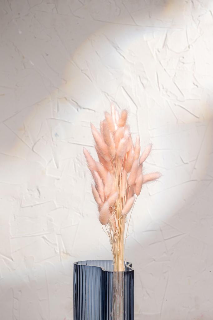 Лагурус 60 веток