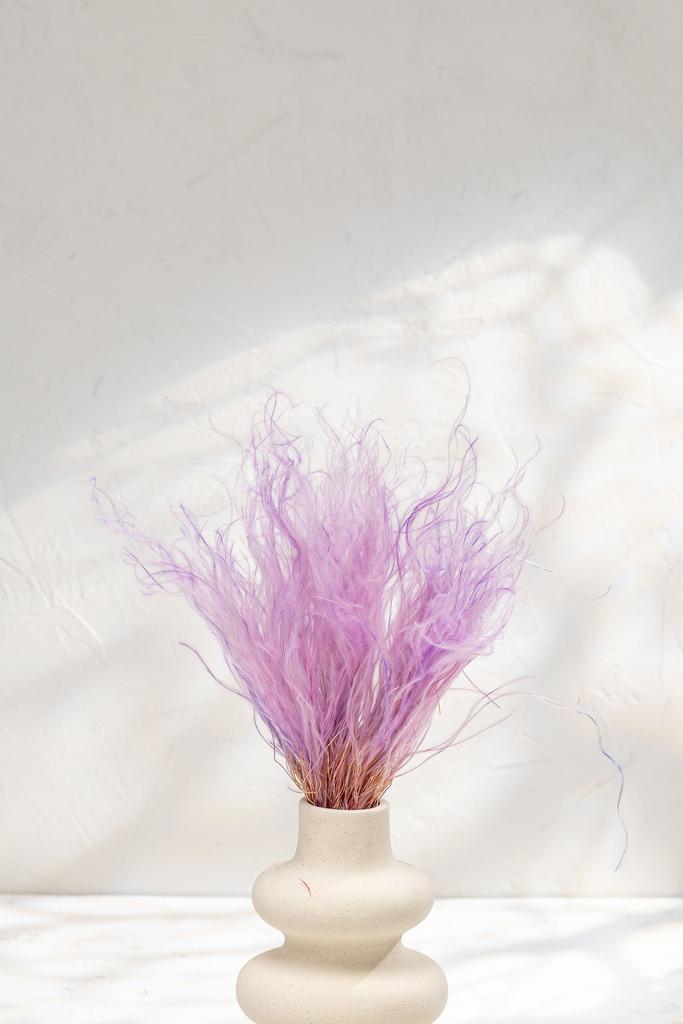 Стифа (Ковыль)