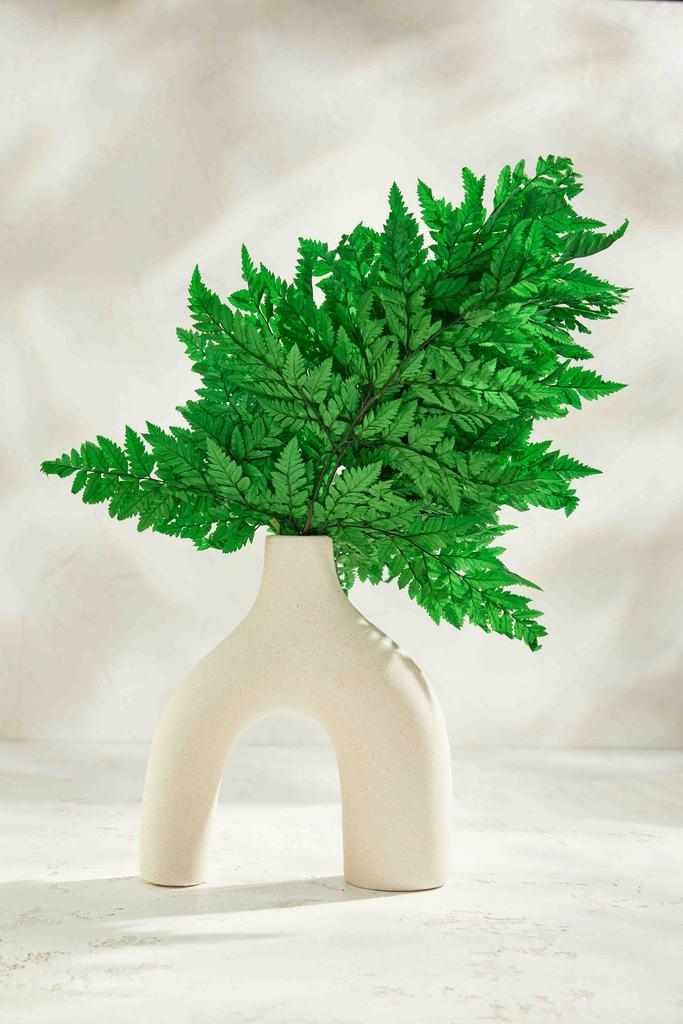 Папоротник стаб