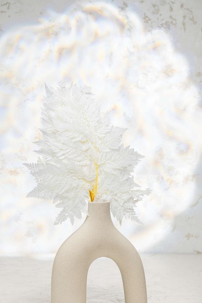 Папоротник стаб