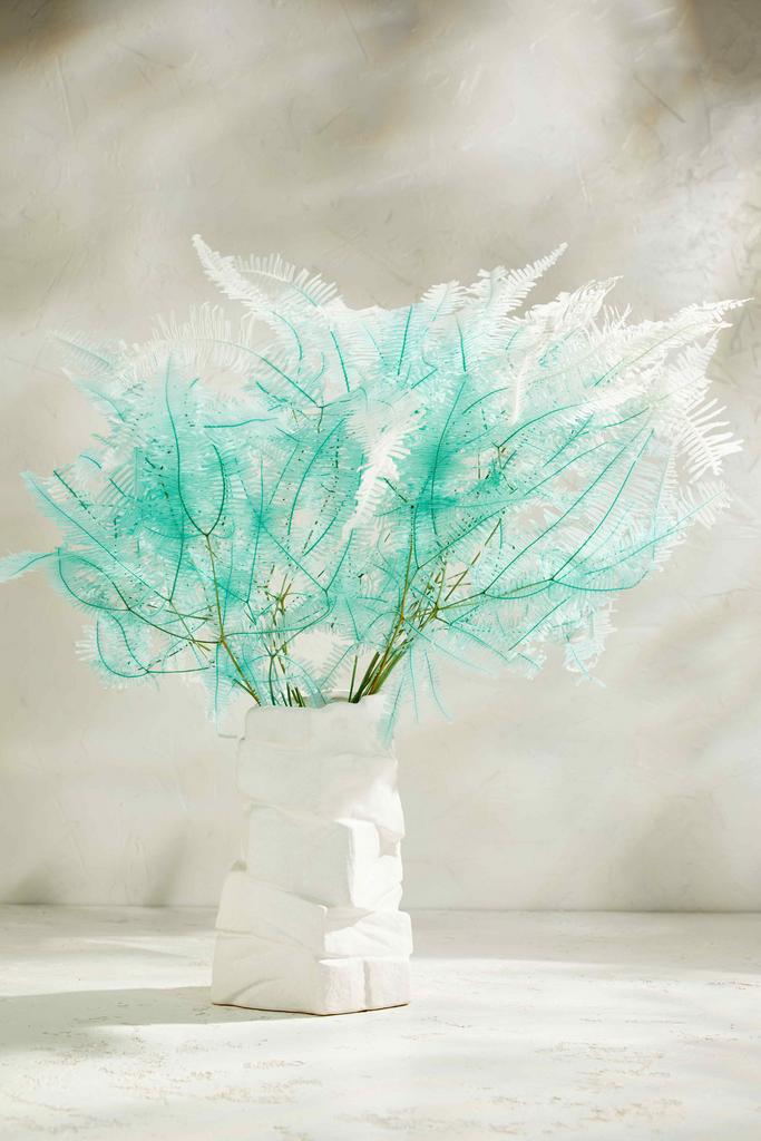 Папоротник стаб - Королевский