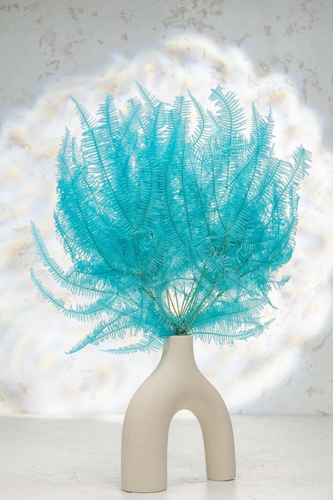 Папоротник стаб - Королевский