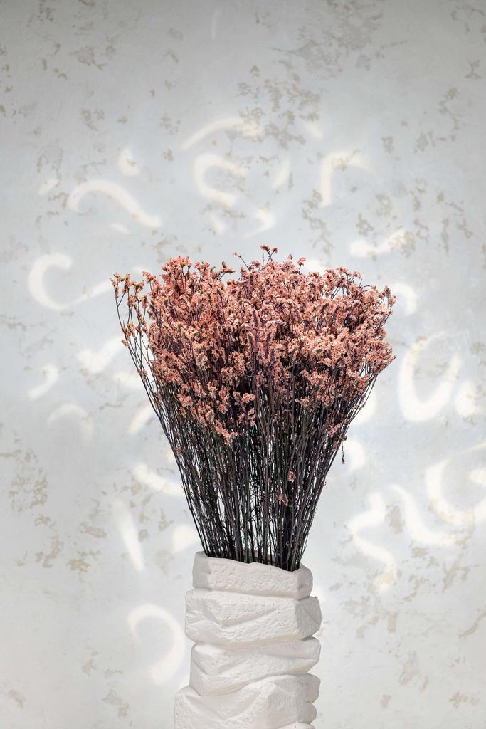 Лимониум Стар