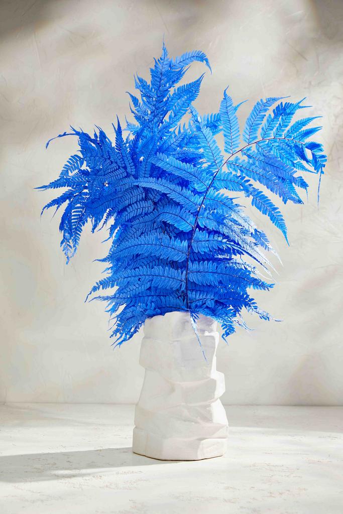 Папоротник стаб - Вытянутый