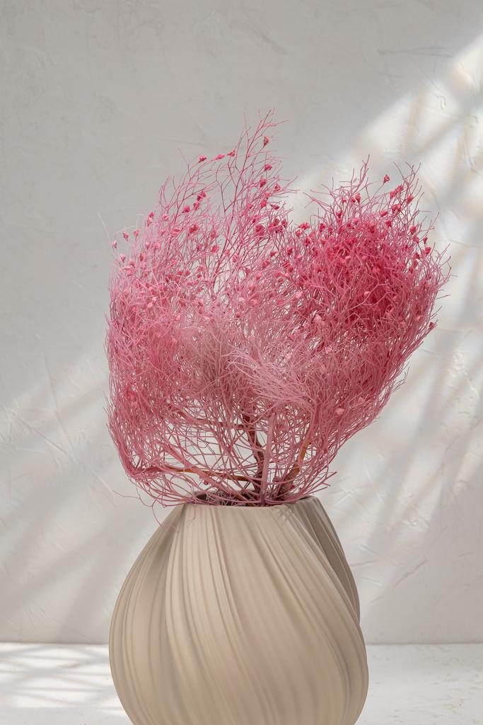 Ситник нитивидный