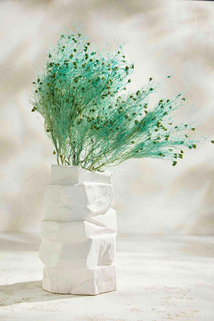 Ситник нитивидный