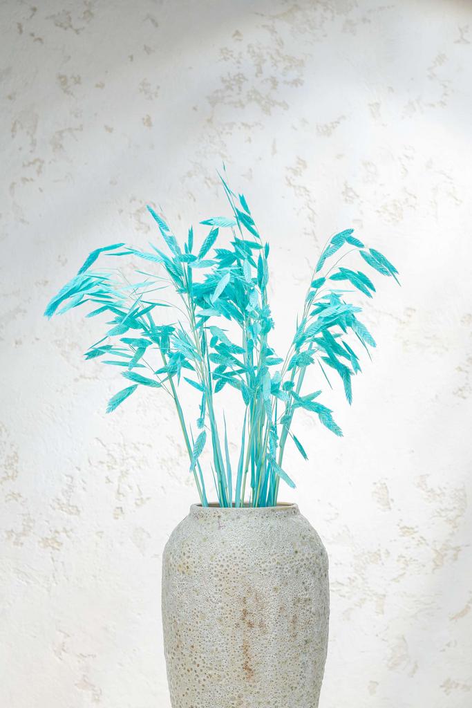 Хасмантиум