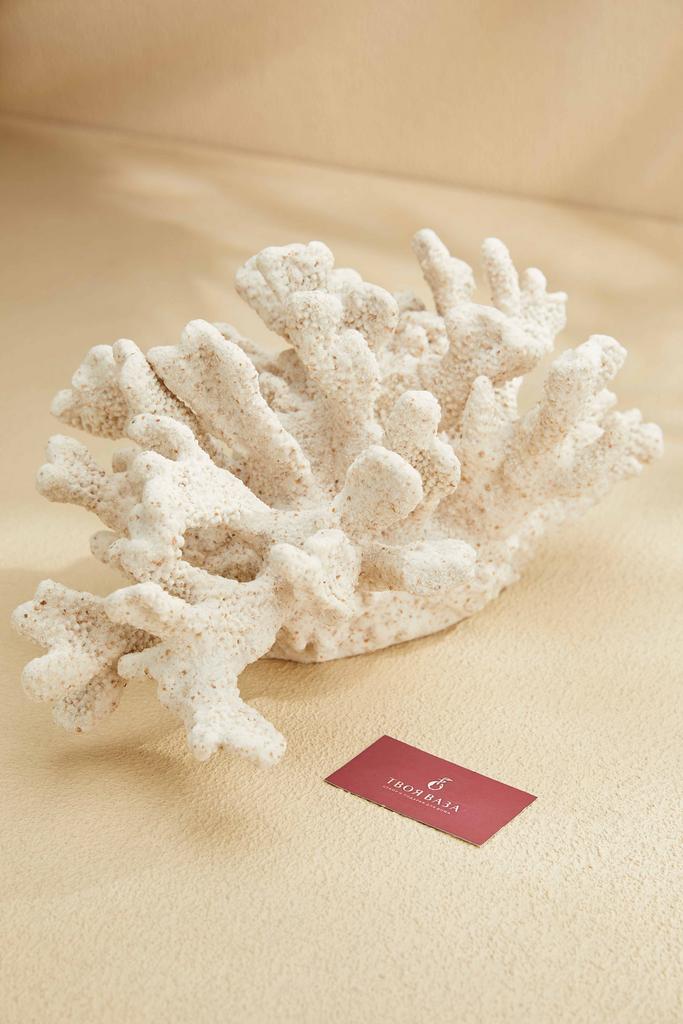 Настольный декор коралл Эуфиллия