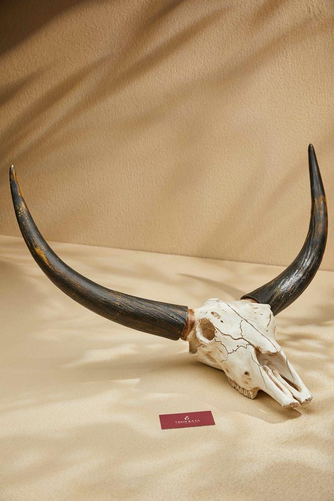 Настенный декор Рога Буйвола