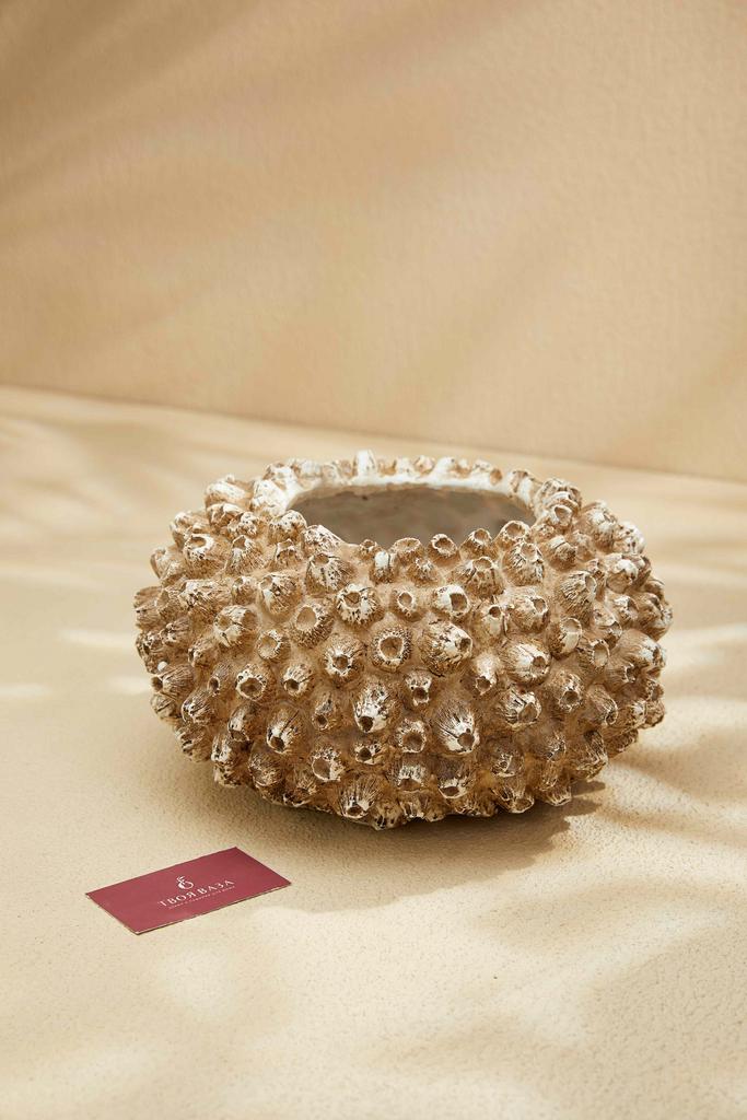 Ваза Коралл Кактус