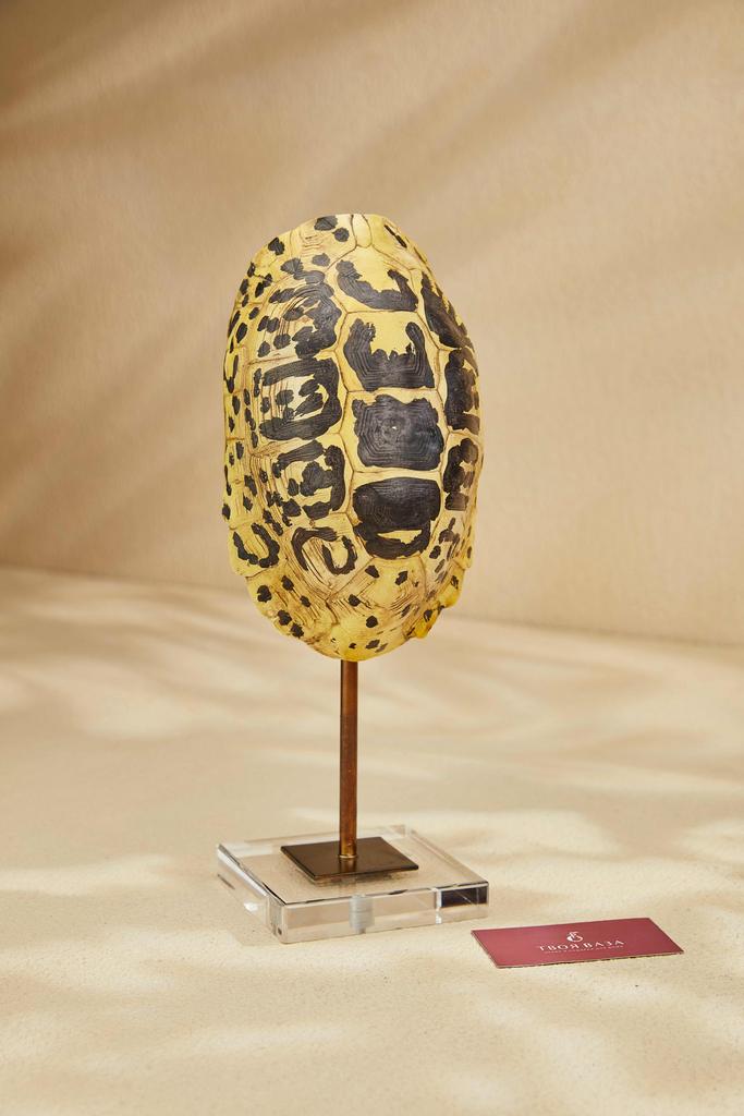 Настольный декор Черепаха жёлтая