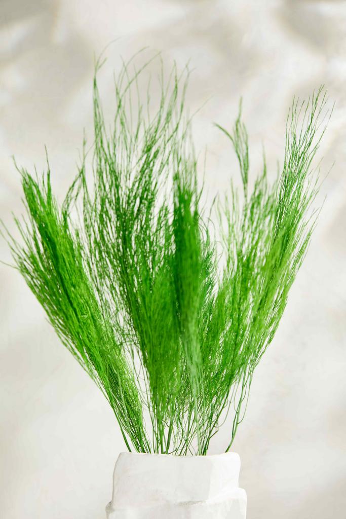 Горная трава