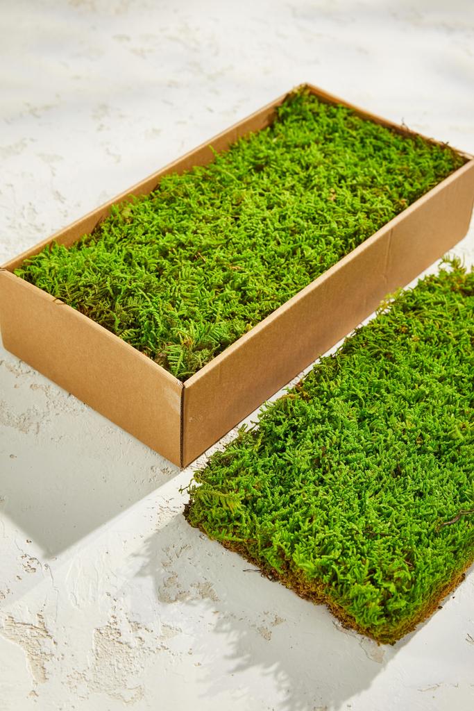 Мох в рулоне