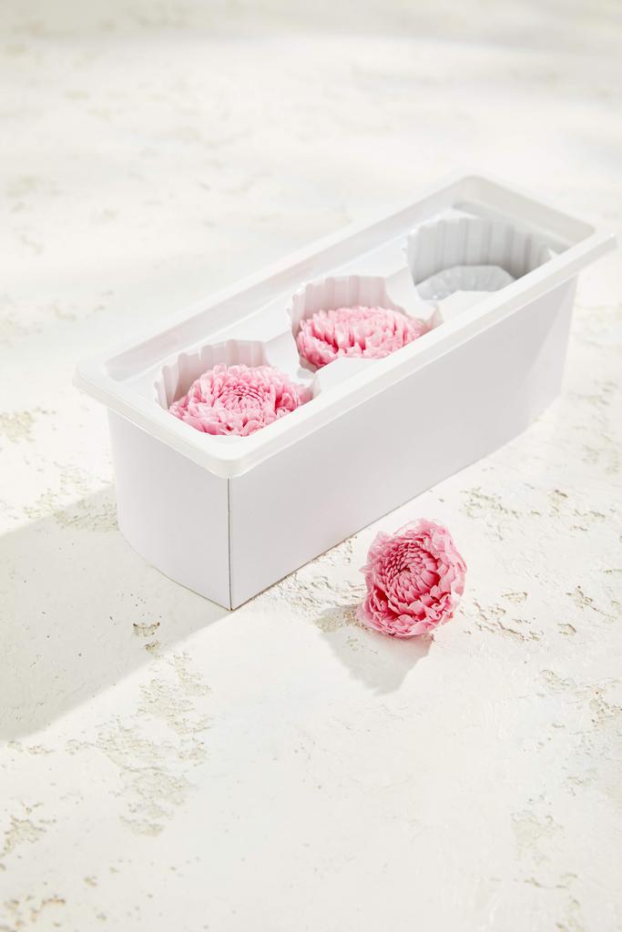 Георгины (3 шт.)